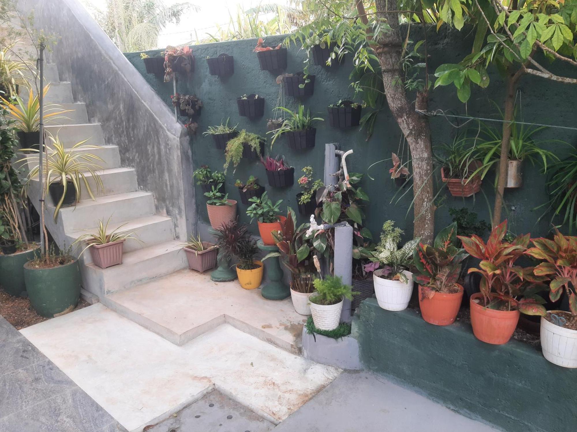 Weerakoon Garden Guest Hotel Hikkaduwa Exterior foto